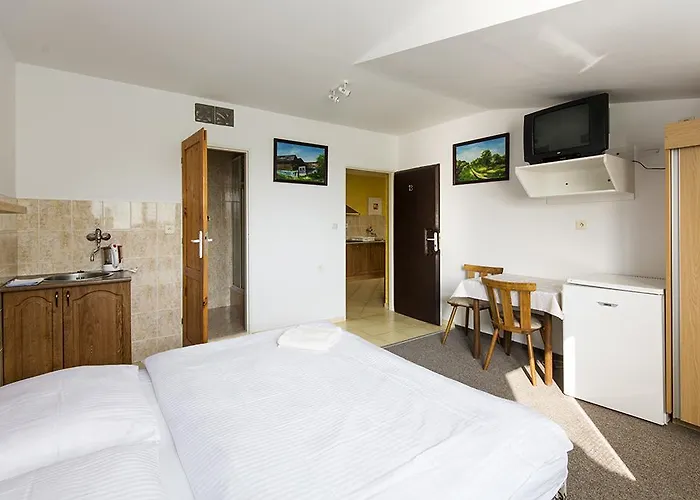 Guest house Sustiak 3*